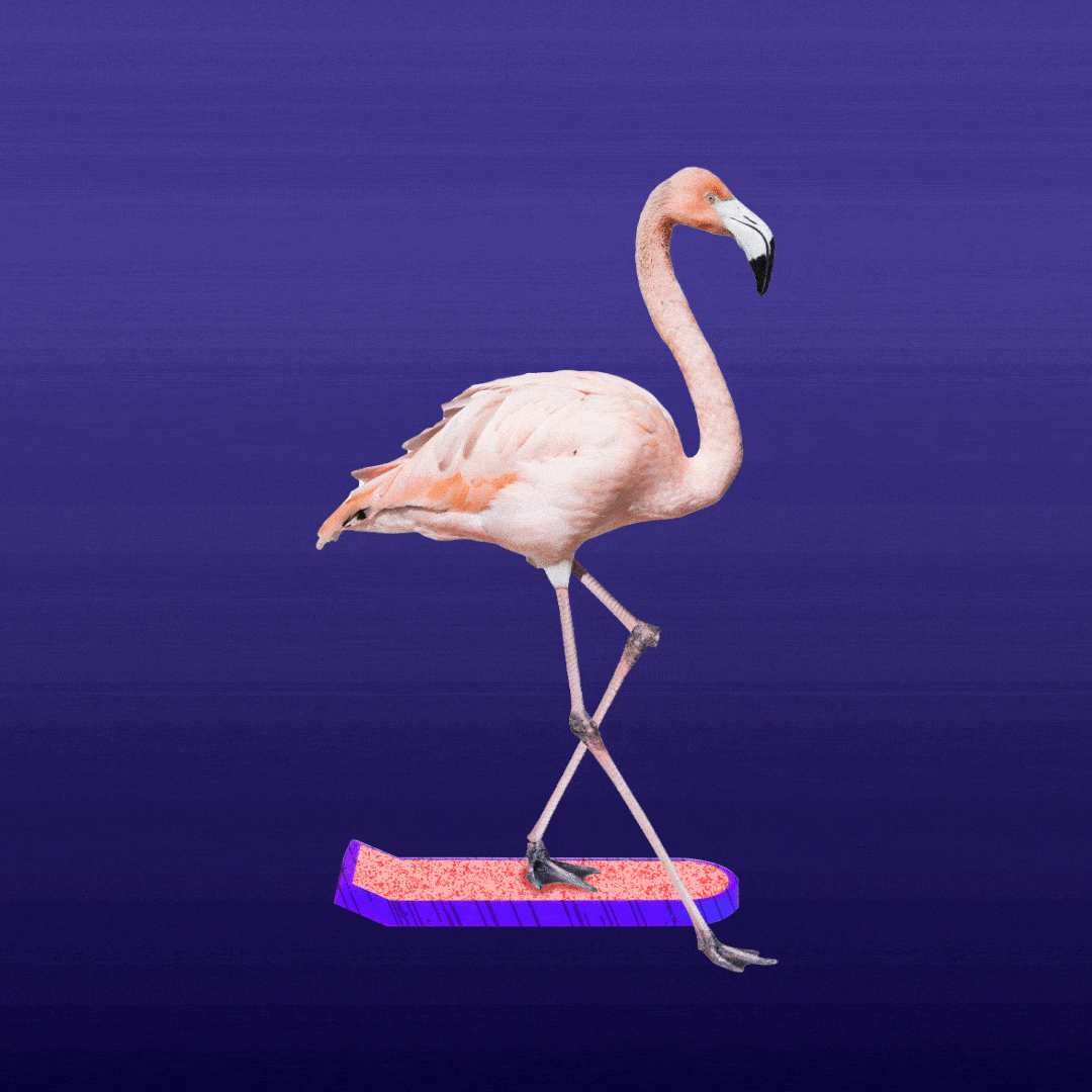 Discover card cover image