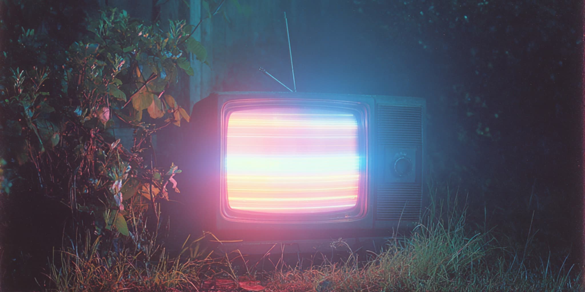 Cover photo