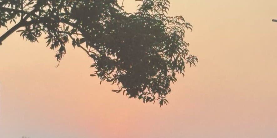 Cover photo