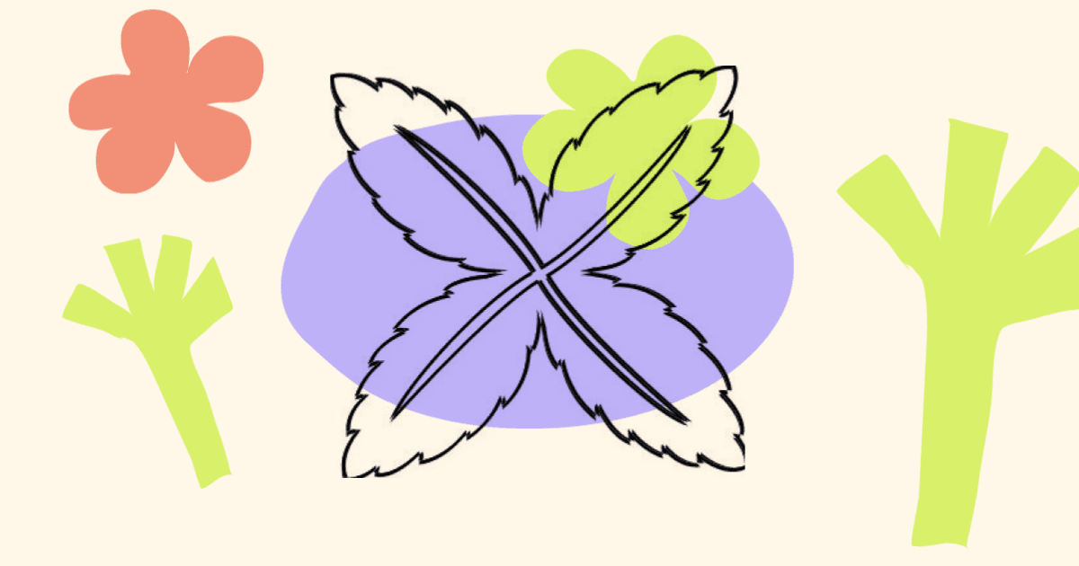 Cover photo