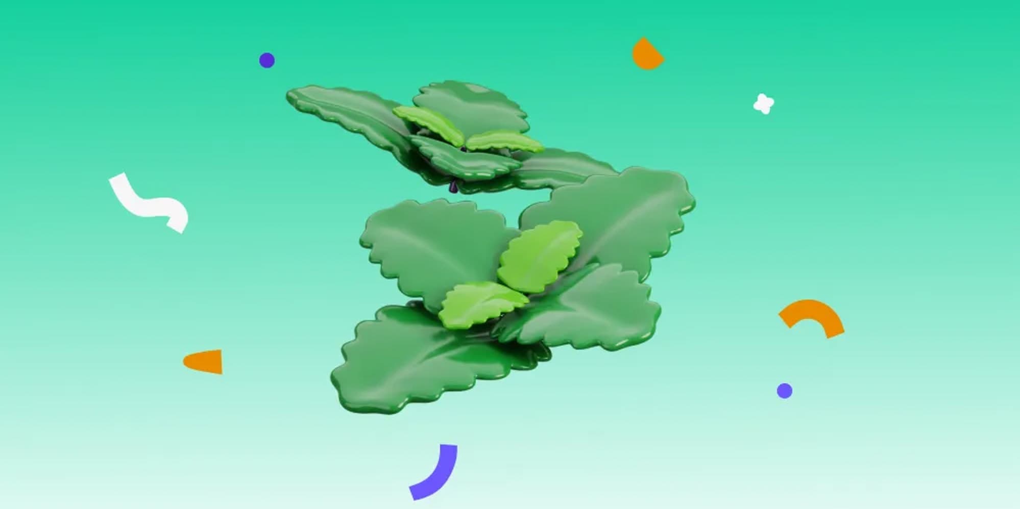 Cover photo