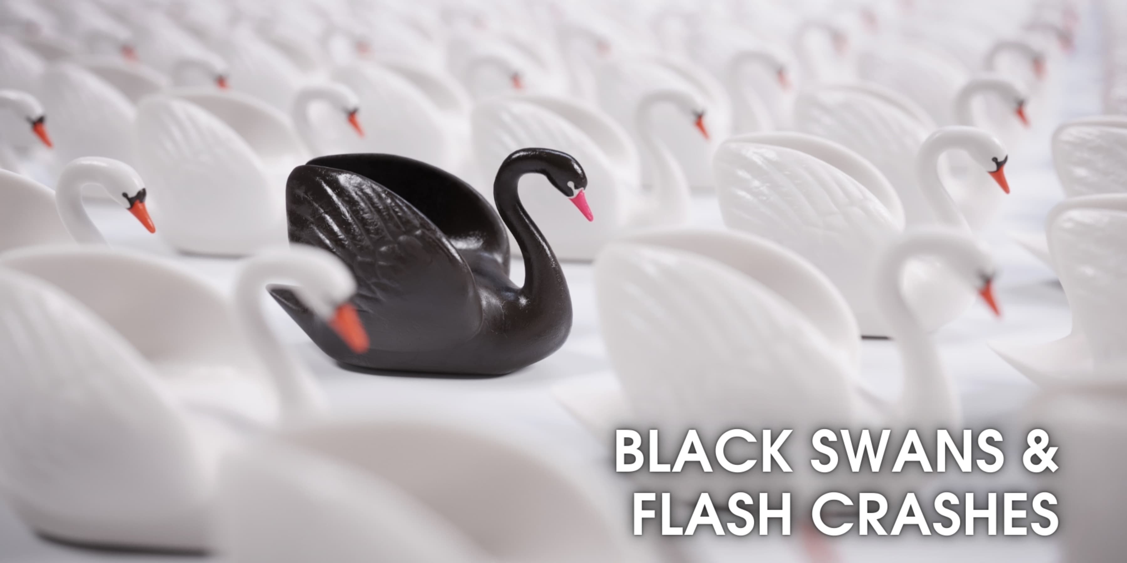 Discover card cover image