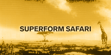 Introducing Superform Safari