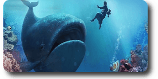 Discover card cover image
