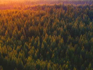 Renoster's Review of Open Forest Protocol's ARR Methodology