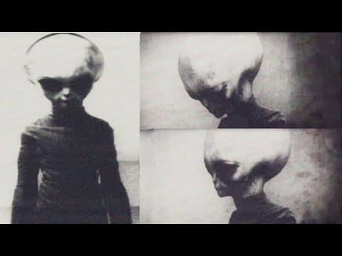 Zeta Reticulian (Skinny Bob)