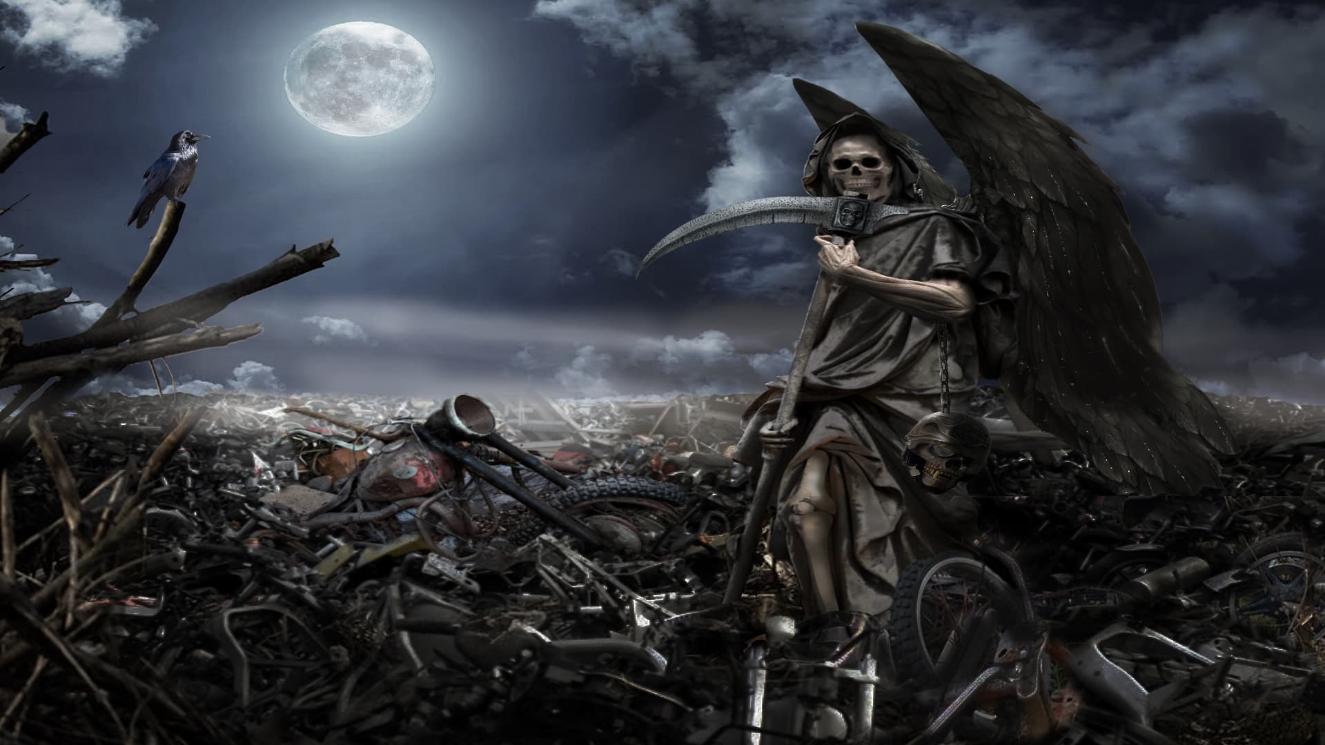 Cover photo