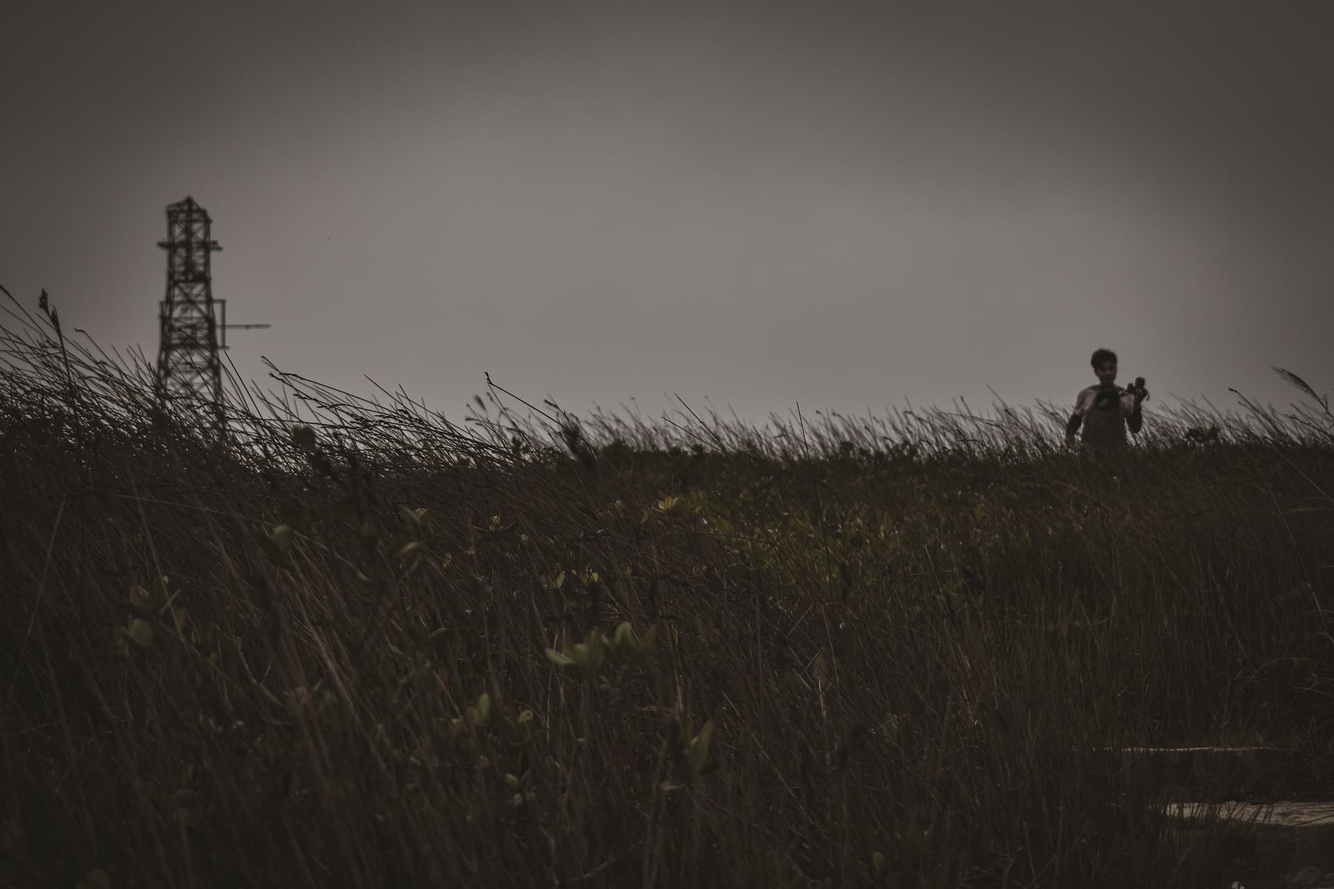 Cover photo