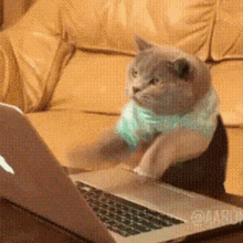 Bills Ugh GIF - Bills Ugh GIFs