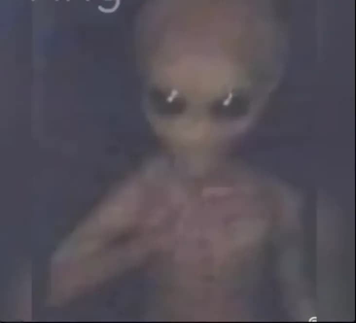 A potentially real image of a Type 3 'Grey': notice how, unlike many popular depictions, the being has no mouth (it has likely evolved beyond speech and is fully psychic), and its skin is more of a beige colour.