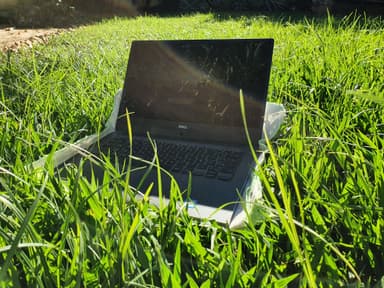 The Digital Meadow