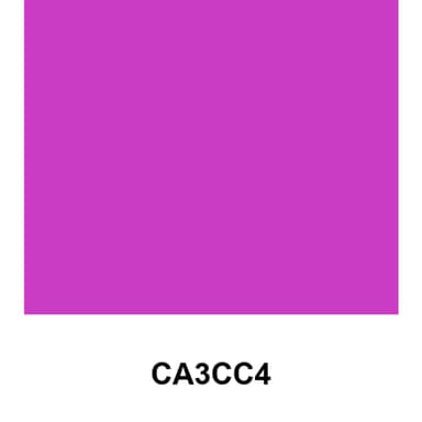 The MAGENTA DAO Daily
