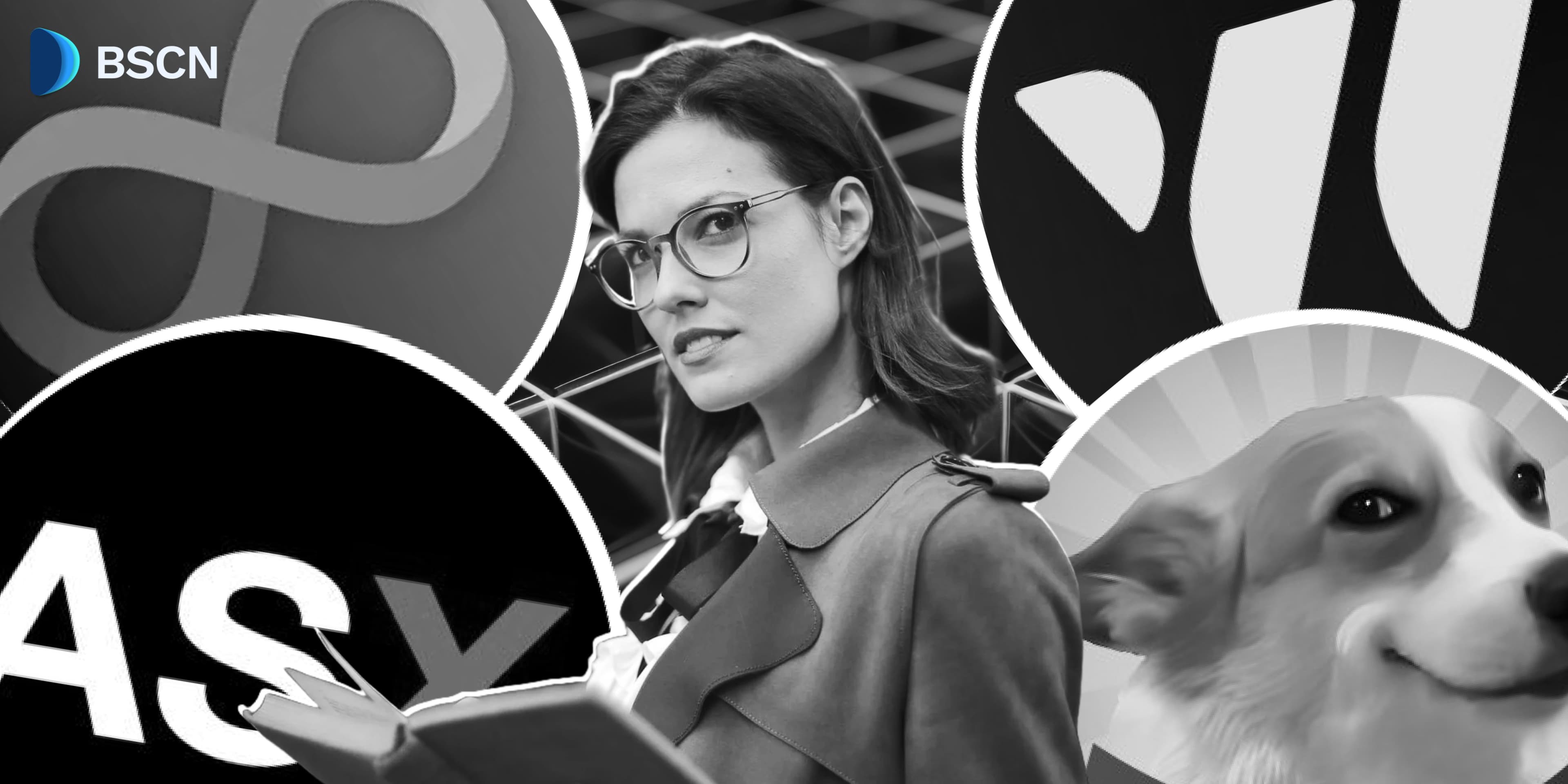 Discover card cover image