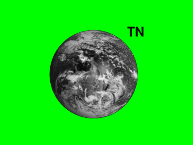 Times New