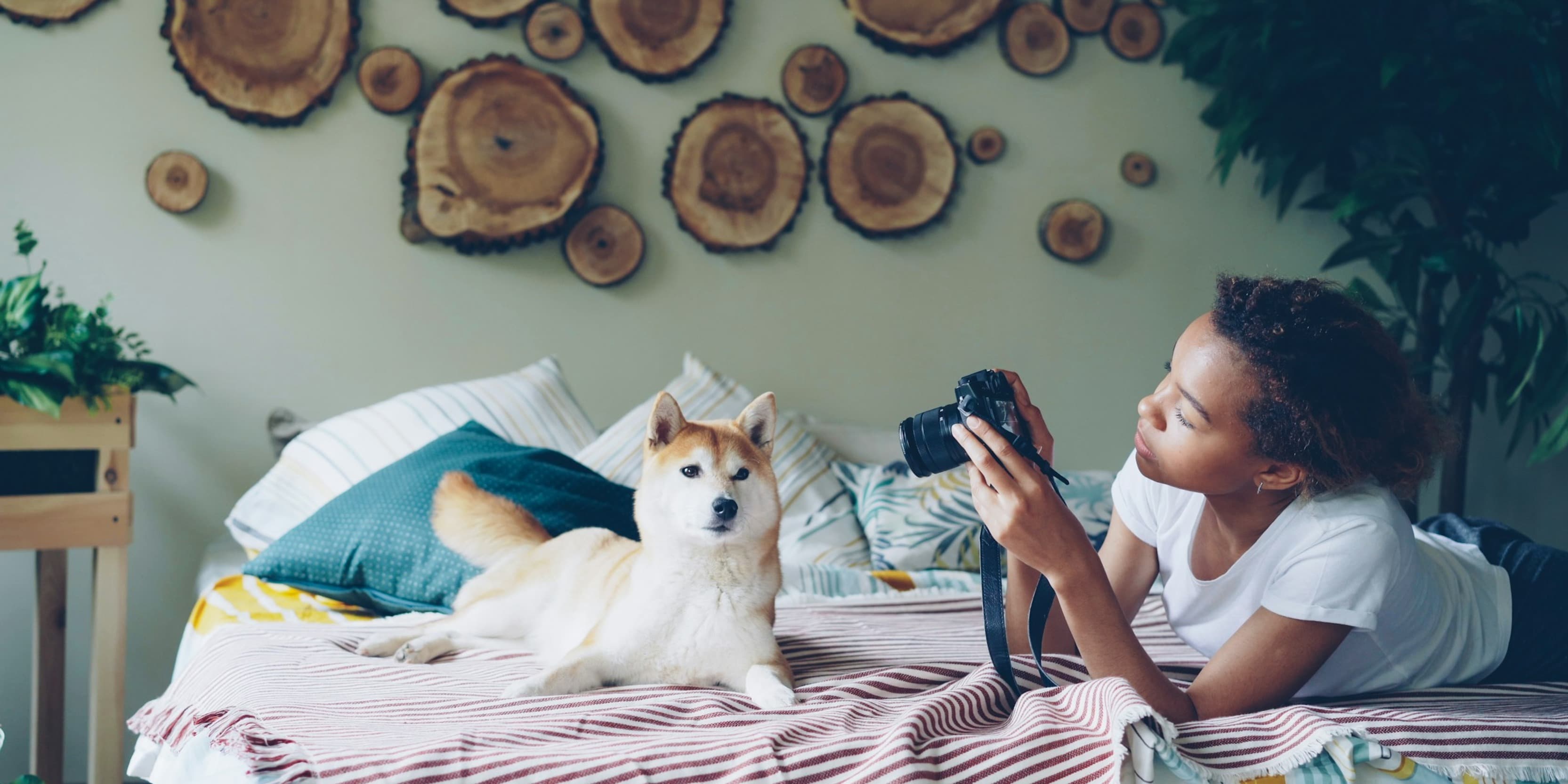Discover card cover image