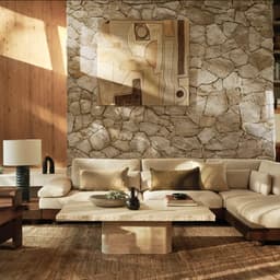 Furniture Trends