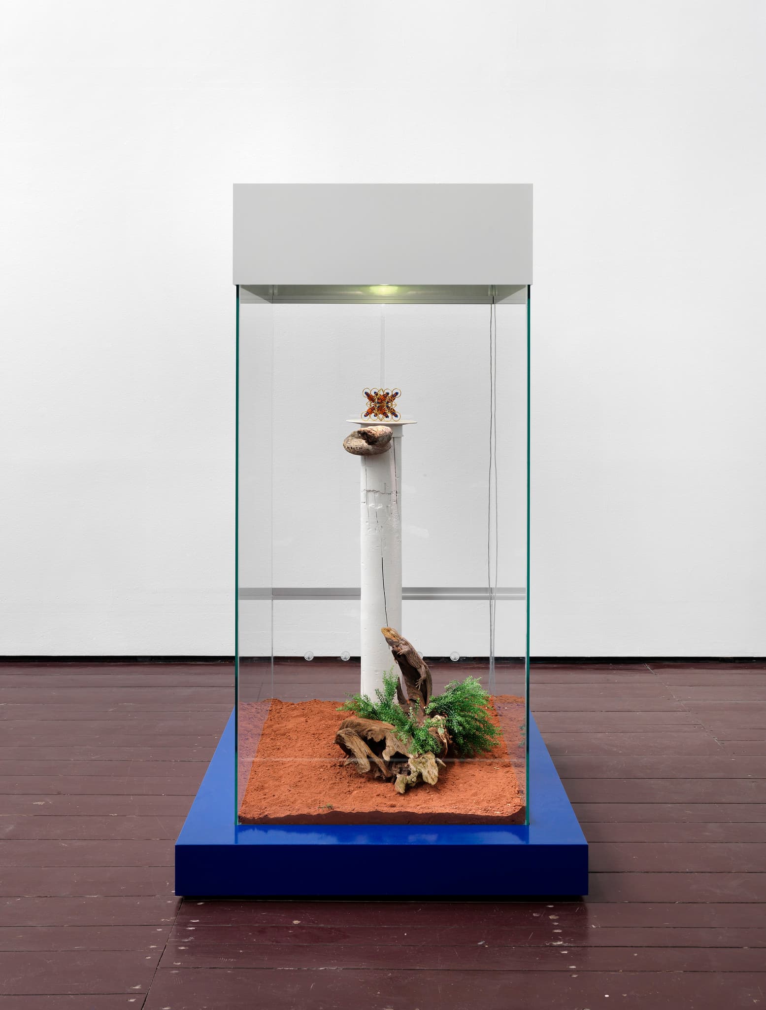 (RES) Neodymium, installation at TBA21, Rare Earth Exhibition 2014