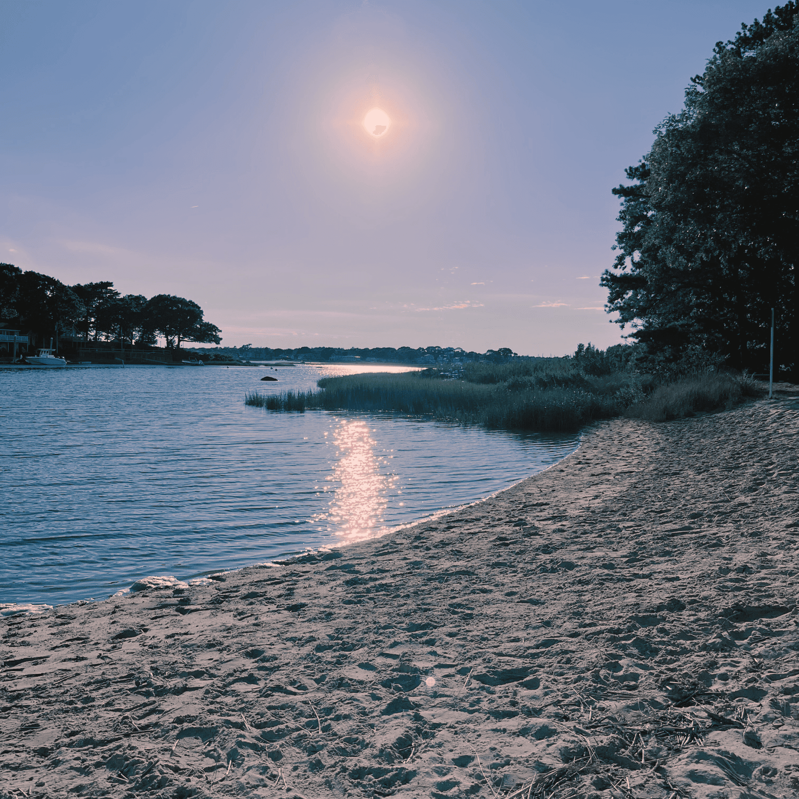 Cover photo