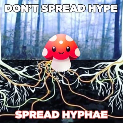 CryptoConexion, spread, hype