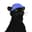 Blog icon