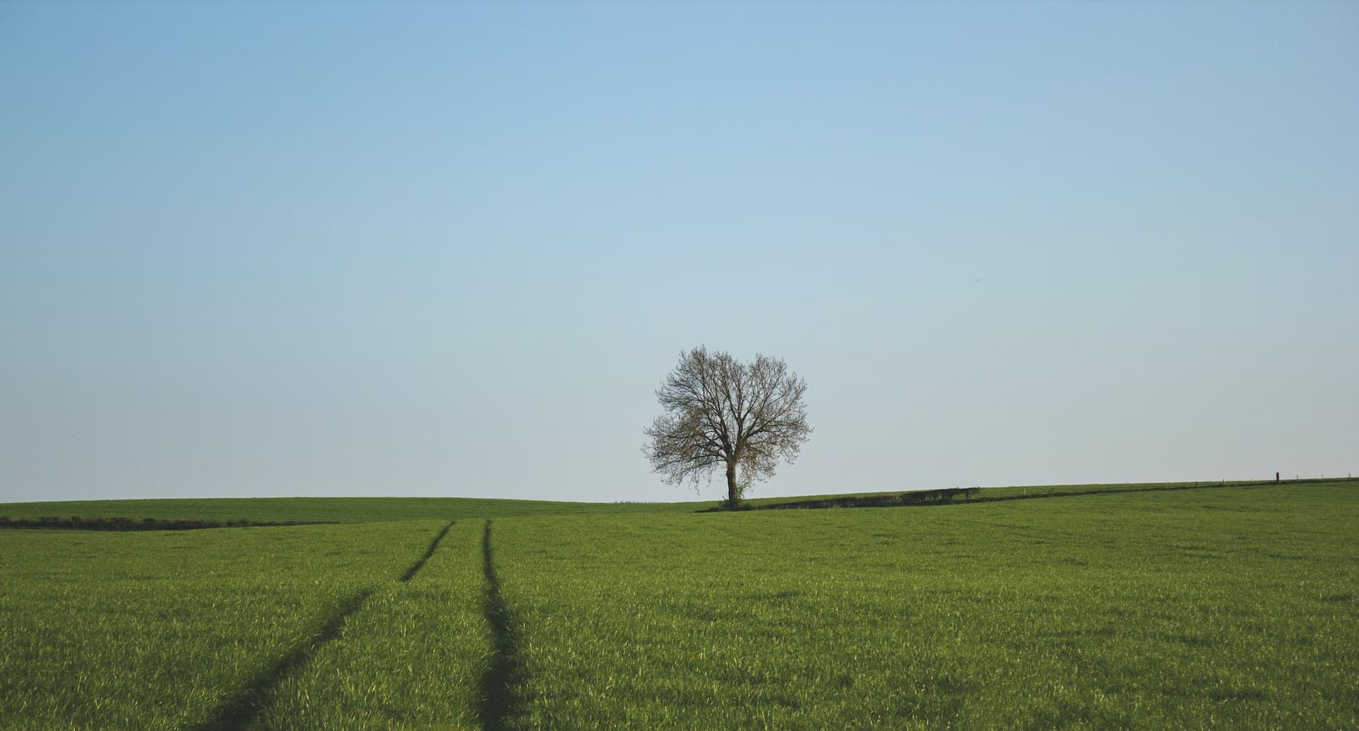 Cover photo
