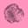 Blog icon