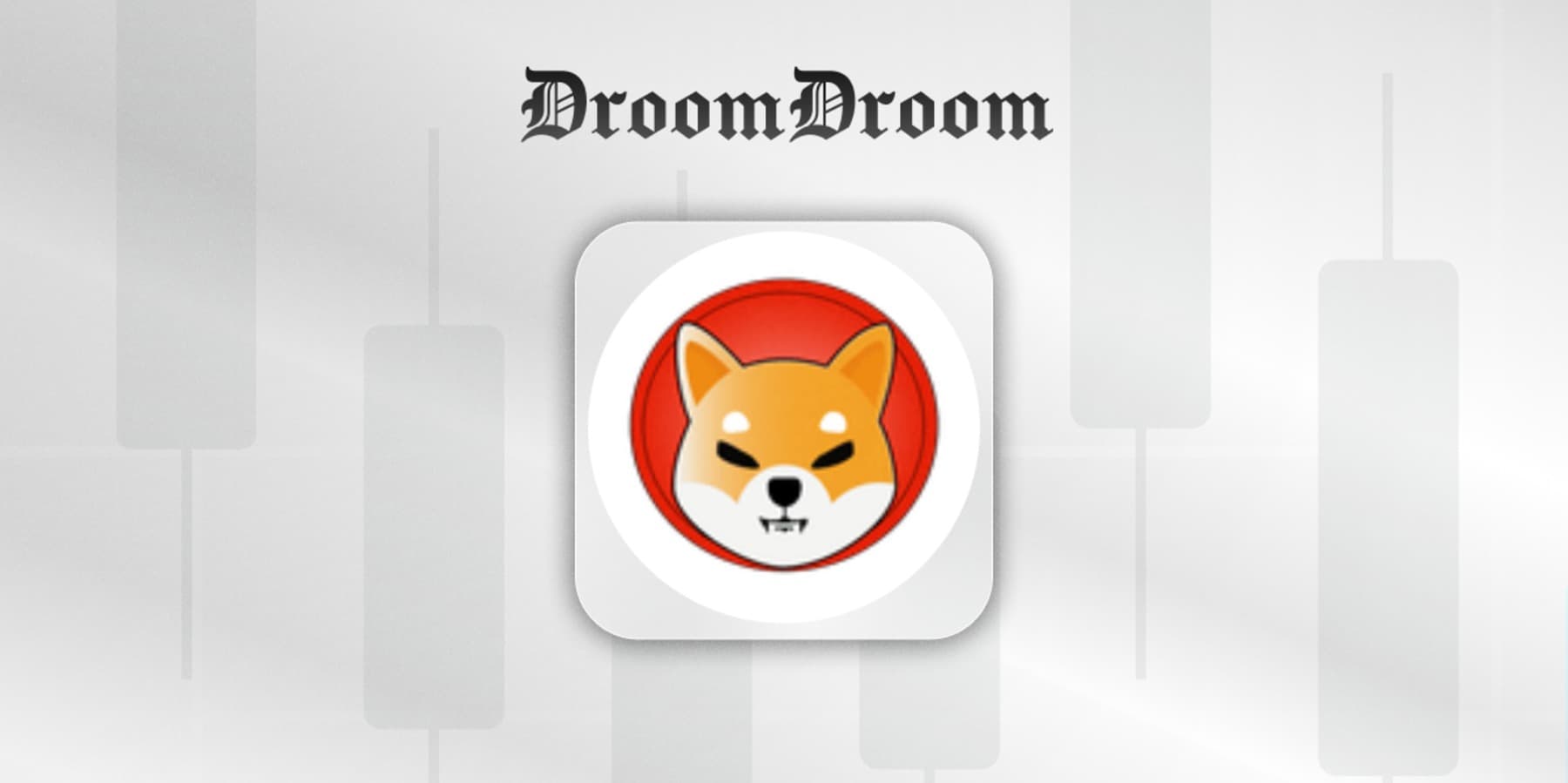 Discover card cover image