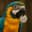Blog icon