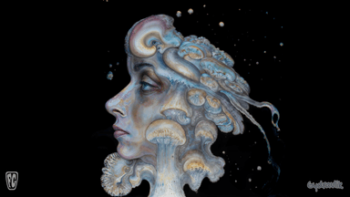 Vitanova_V1.0