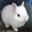 Blog icon