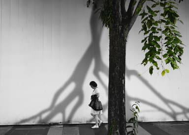 Overshadow - Miro Miro | Exchange Art