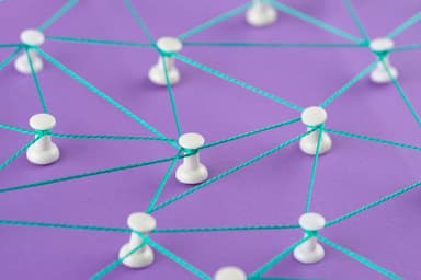 DAOs in Action: Real-world Use Cases and Success Stories