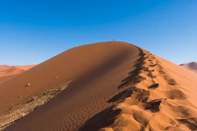 Breaking Down the Octant Epoch 7 Climate Solutions Funding Round | CARBON Copy