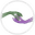 Blog icon