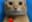 Blog icon
