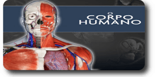 Discover card cover image