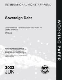 Sovereign Debt