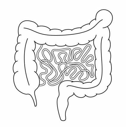 Like a crunched up intestine