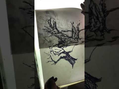 Lesson 2