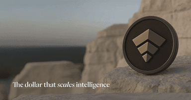 USD AI