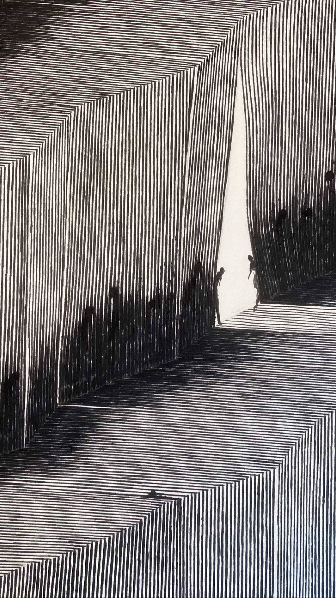 Tim Maxwell 