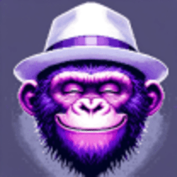 purplezky  🎩