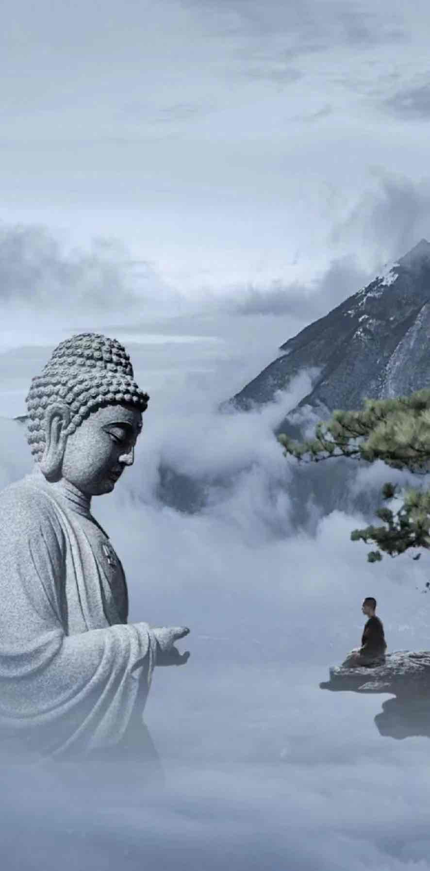 日拱一卒王小楼