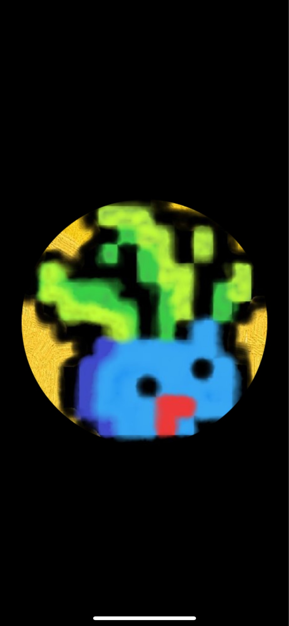 DDUBUCKCHO