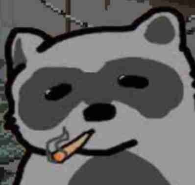 Raccoon