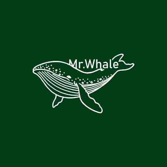 Mr.Whale 🐋