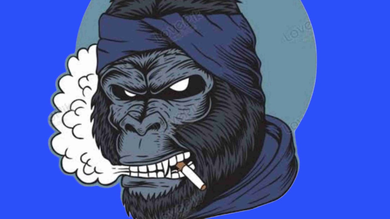 KINGKONG 