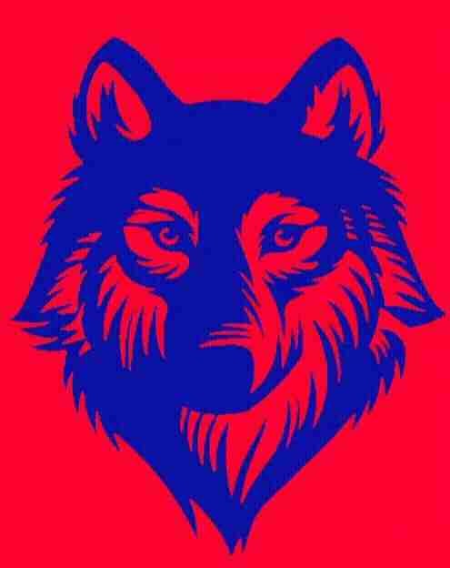 GOKBURU 💥🦊Ⓜ️