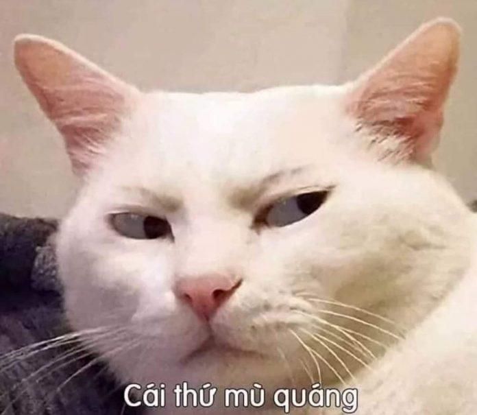 Thào A Peo