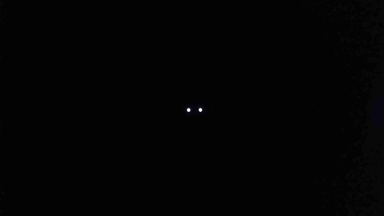 Planejane